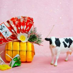 新年明けましておめでとうございます